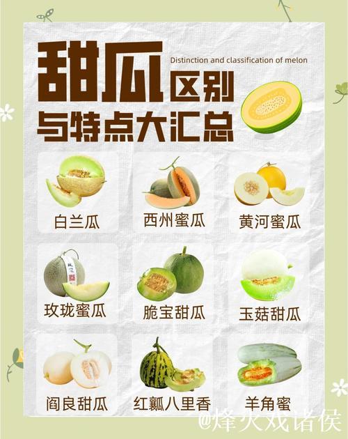 最新吃瓜合集分享百度网盘资源大全 最新吃瓜合集分享百度网盘资源大全